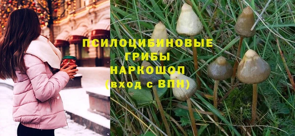 стафф Пересвет