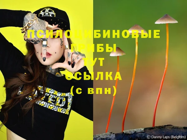 крисы Слюдянка