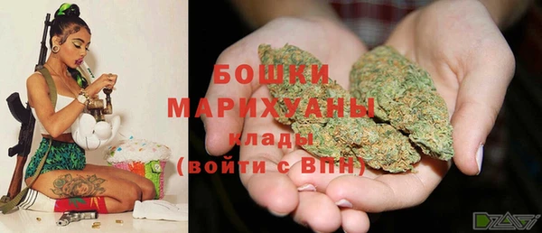 шишки Снежногорск