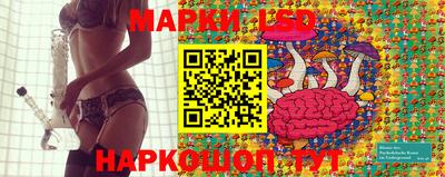 mdma Кингисепп