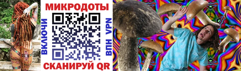 Галлюциногенные грибы Psilocybine cubensis  omg зеркало  Москва 