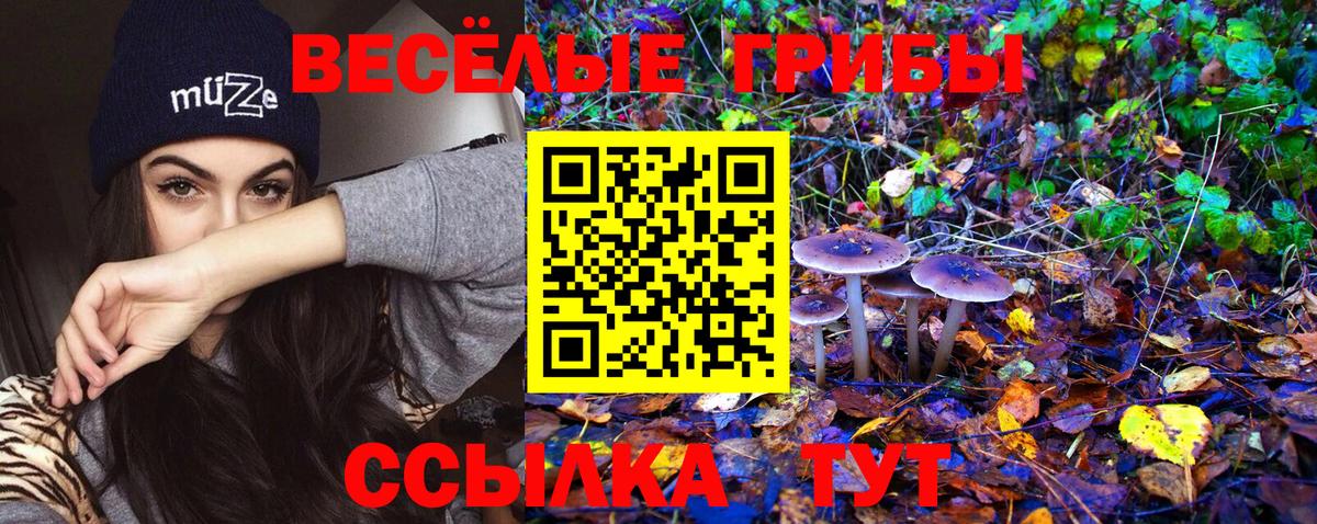 Галлюциногенные грибы Magic Shrooms Москва