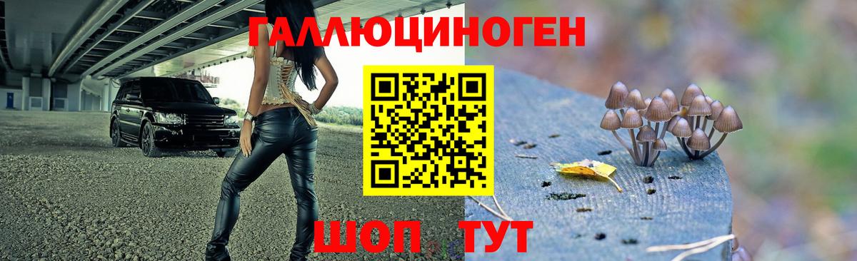 Галлюциногенные грибы мицелий  Вход с VPN  Москва 